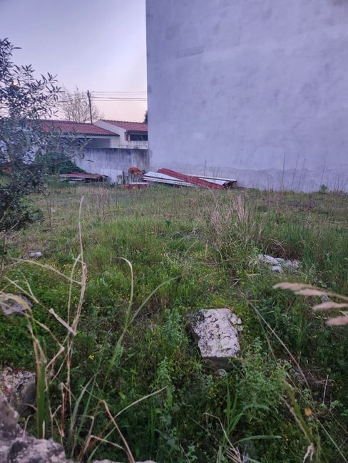 Terreno · fotografia 3