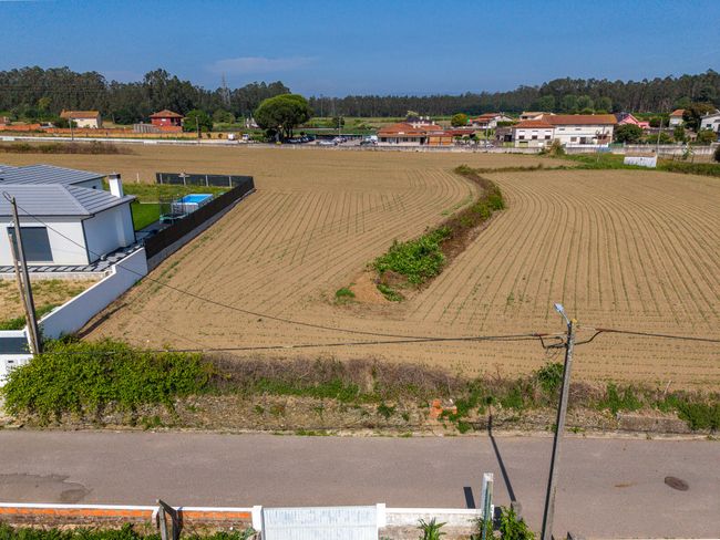 Terreno