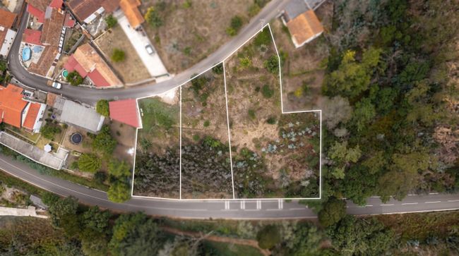 Terreno